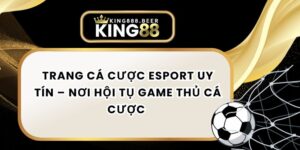 Trang Cá Cược Esport Uy Tín – Nơi Hội Tụ Game Thủ Cá Cược 
