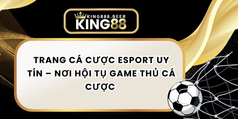 Trang Cá Cược Esport Uy Tín – Nơi Hội Tụ Game Thủ Cá Cược 